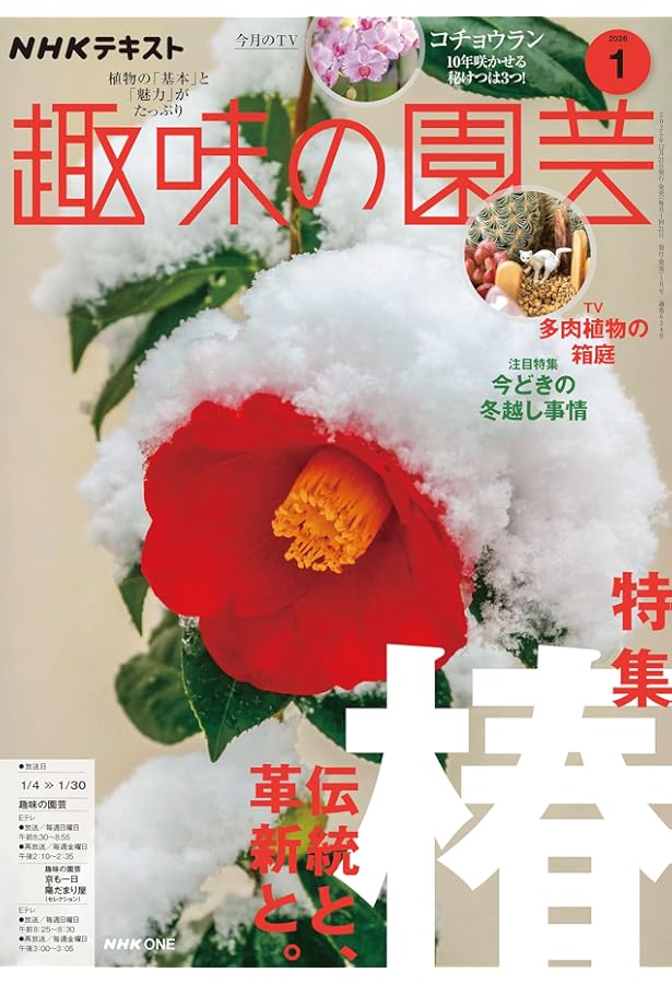 園芸ガイド　2001年　2002年　隔月発行　12冊まとめて 園芸ガイド 2001年 2002年 隔月発行 12冊まとめて 園芸ガイド2001年